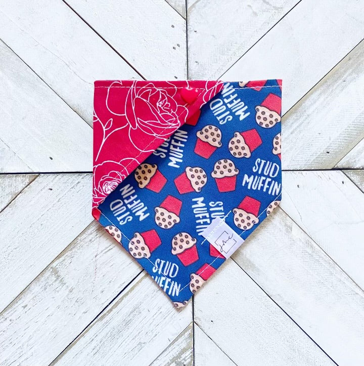 Stud Muffin Pet Bandana