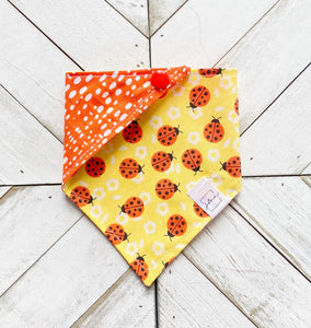 Ladybug Fields Pet Bandana