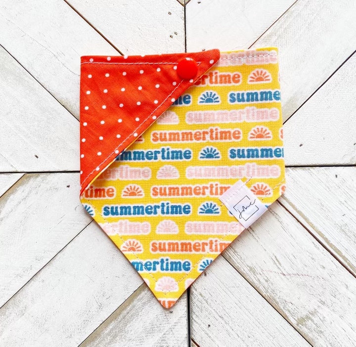 Summertime Pet Bandana
