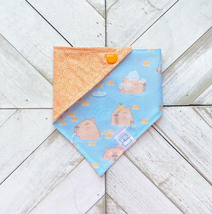 Capybara Cove Pet Bandana