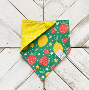 Berry Zest Pet Bandana