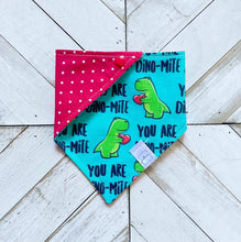 Load image into Gallery viewer, You&#39;re Dino-Mite Pet Bandana
