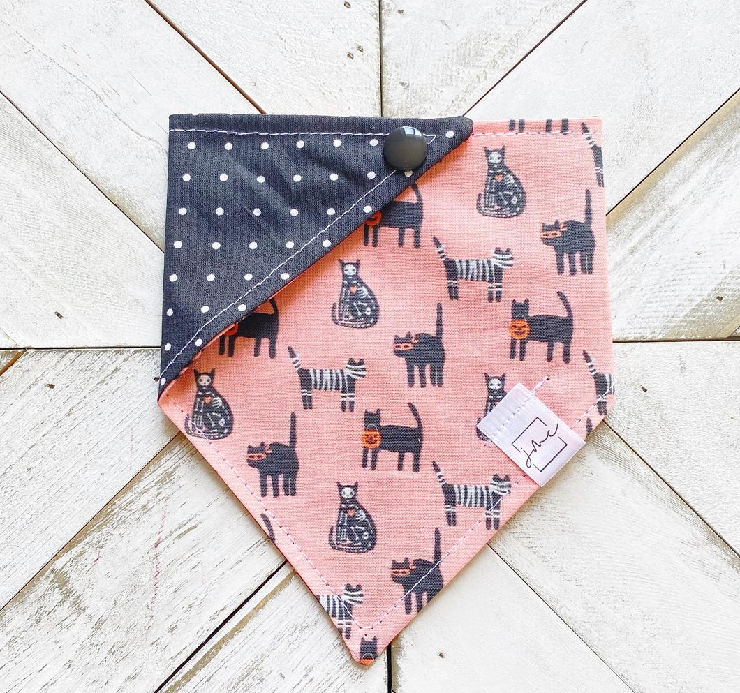 Scaredy Cats Pet Bandana