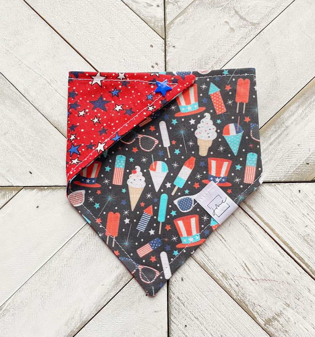 Patriotic Party Pet Bandana