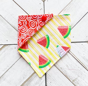 Melon Slices Pet Bandana