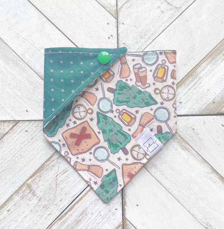 Treasure Hunt Pet Bandana