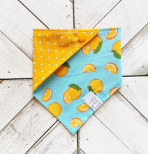 Load image into Gallery viewer, Orange Zest Pet Bandana
