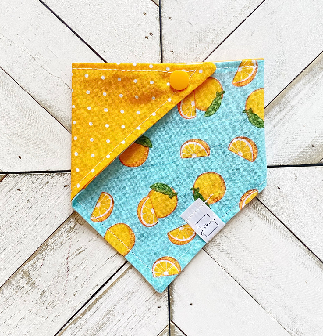 Orange Zest Pet Bandana
