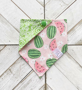 Wild For Watermelon Pet Bandana