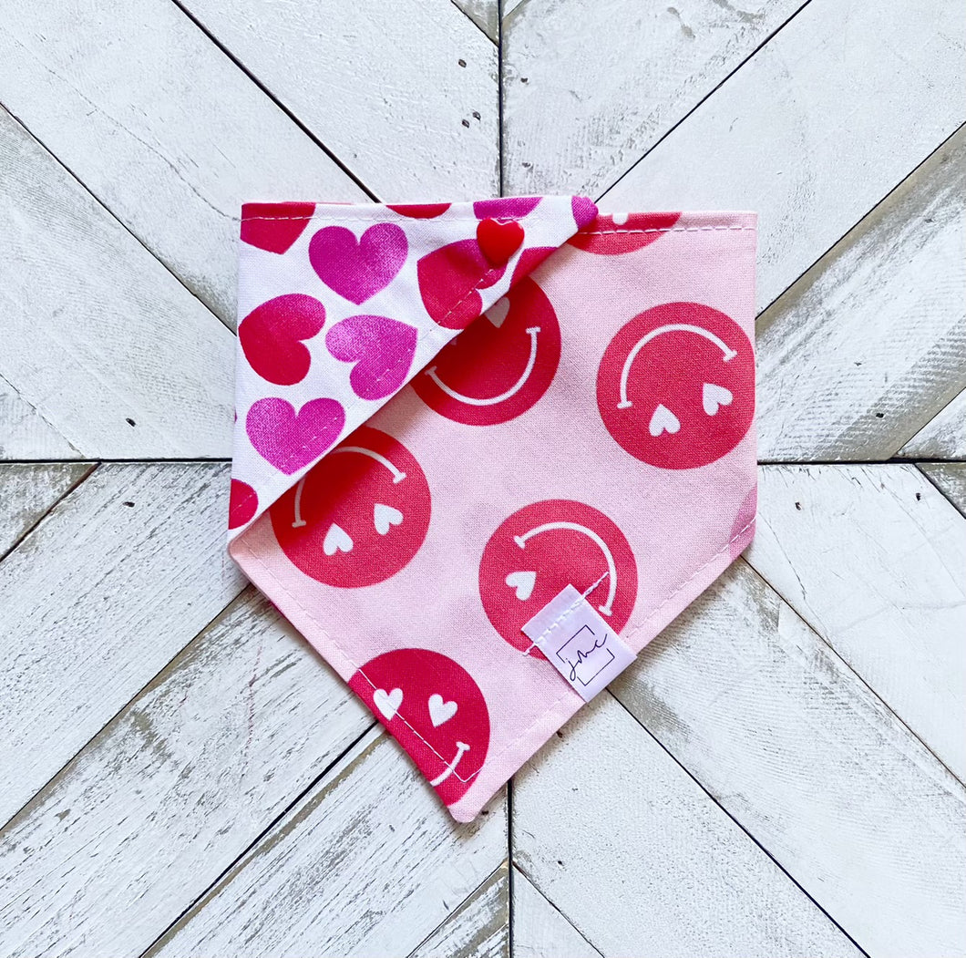 Smiles of Love Pet Bandana