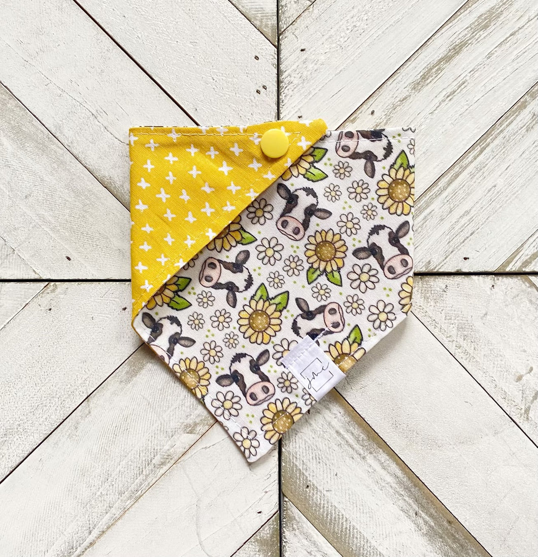 Cow Fields Pet Bandana