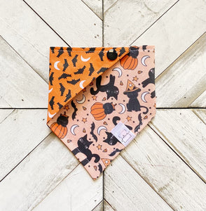 Witch’s Bff Pet Bandana