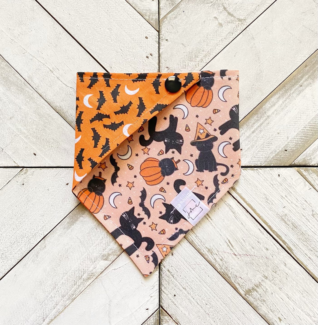 Witch’s Bff Pet Bandana