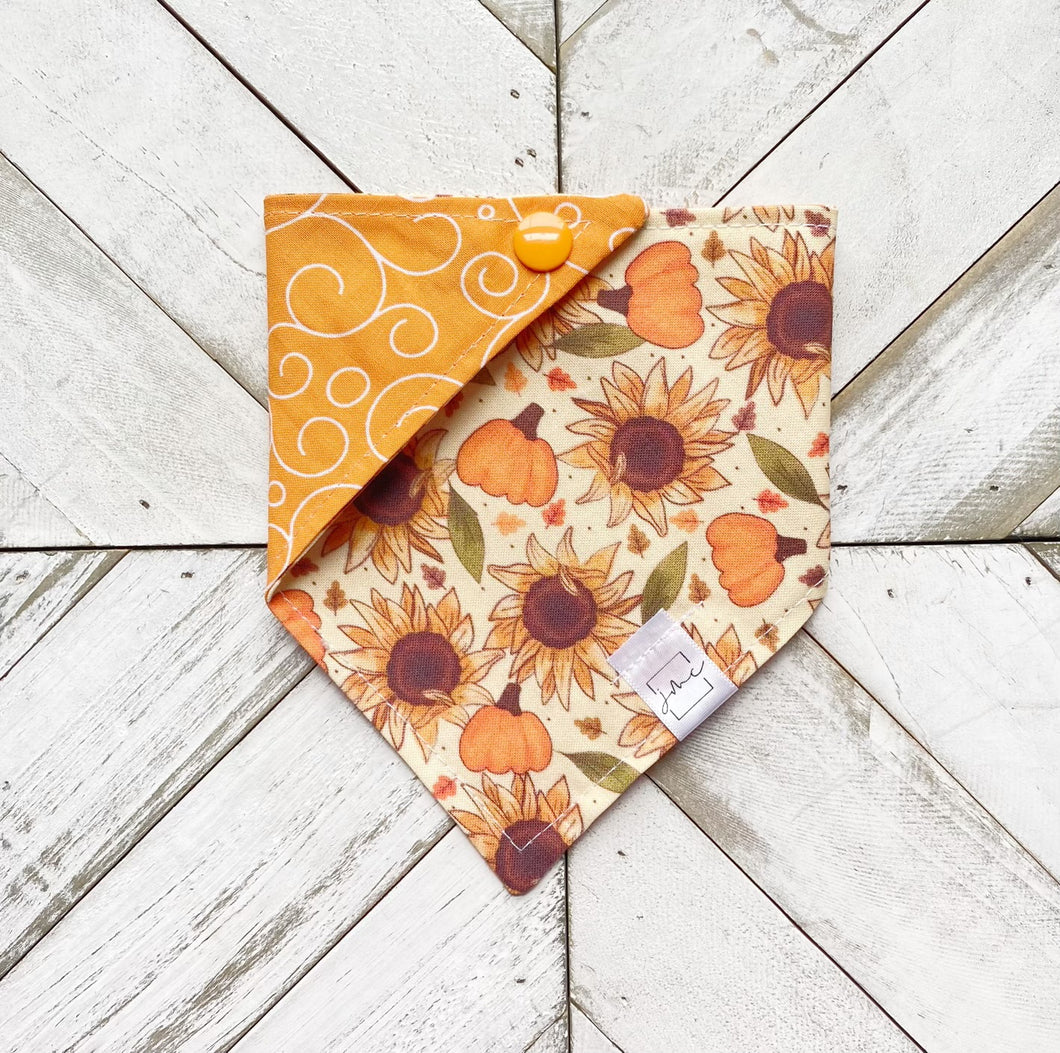Fall Fields Pet Bandana