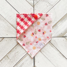 Load image into Gallery viewer, Ladybug Land Pet Bandana
