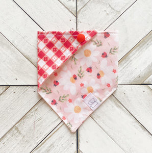 Ladybug Land Pet Bandana