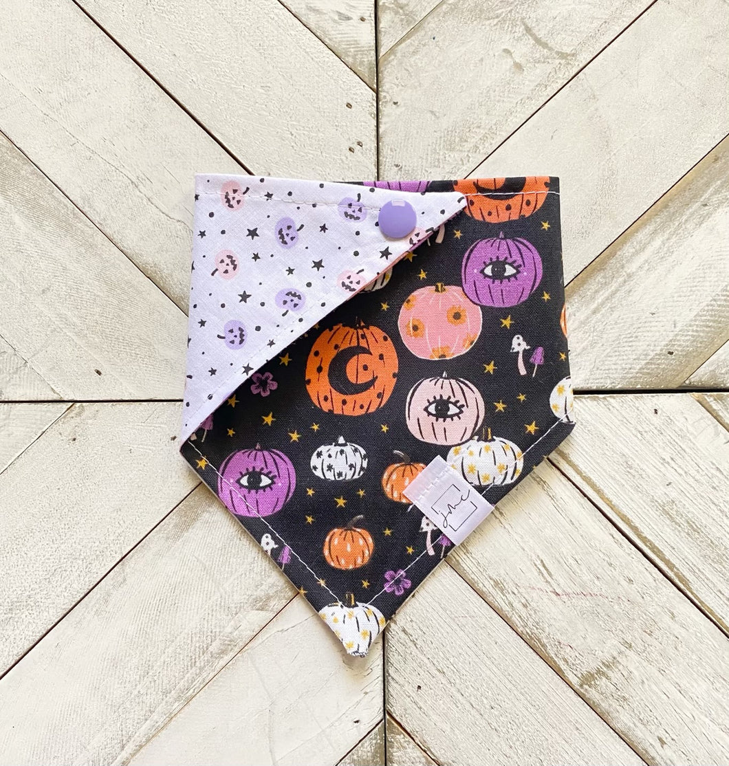 Starry Night Pet Bandana