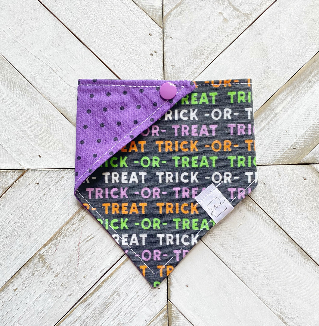 Trick Or Treat Pet Bandana