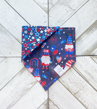 Load image into Gallery viewer, Gnome Of The Brave Pet Bandana
