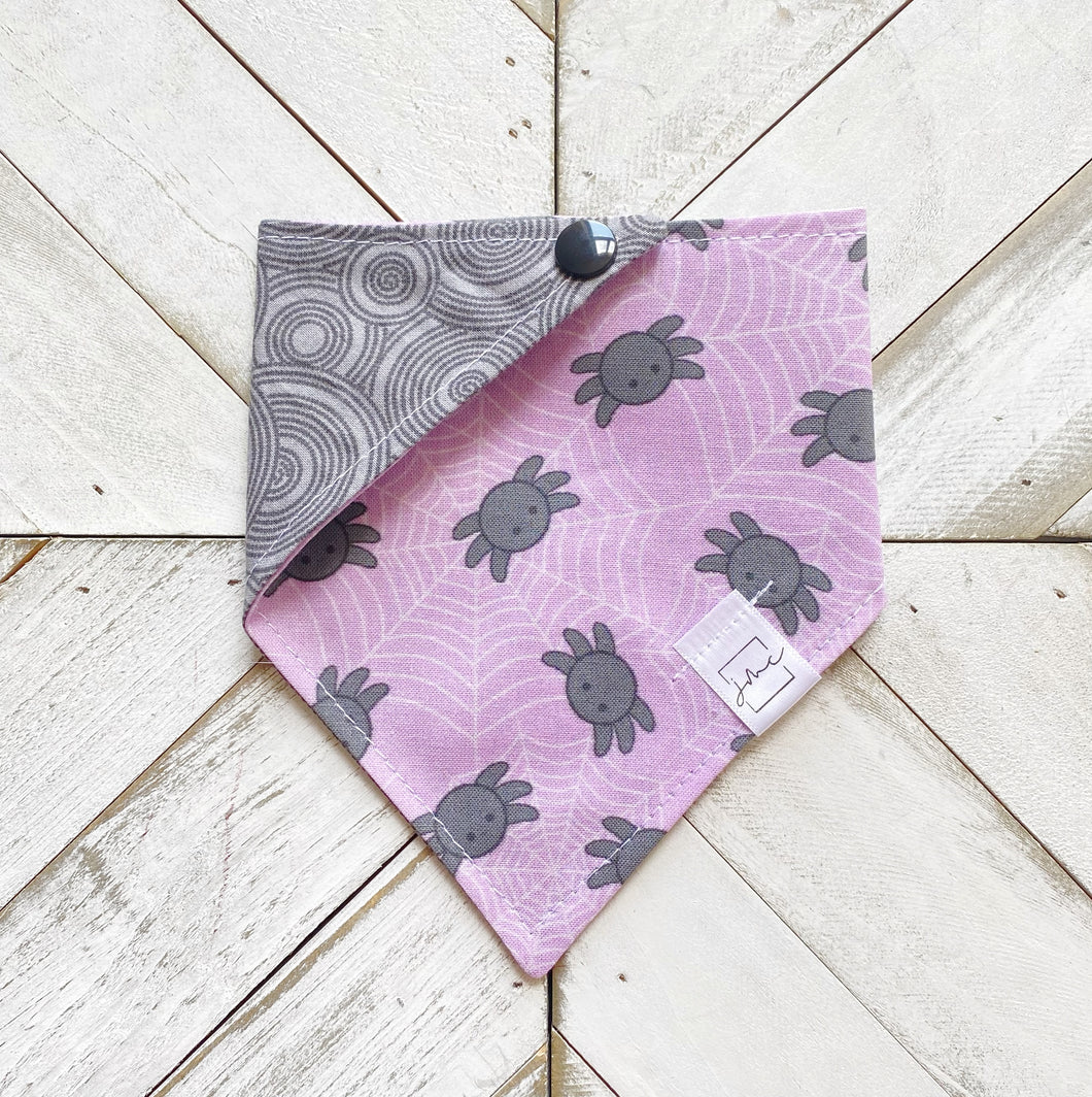 Itsy Bitsy Spider Pet Bandana