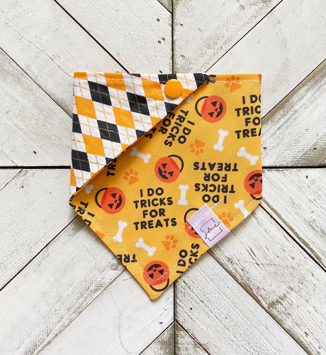 Tricks For Treats Pet Bandana