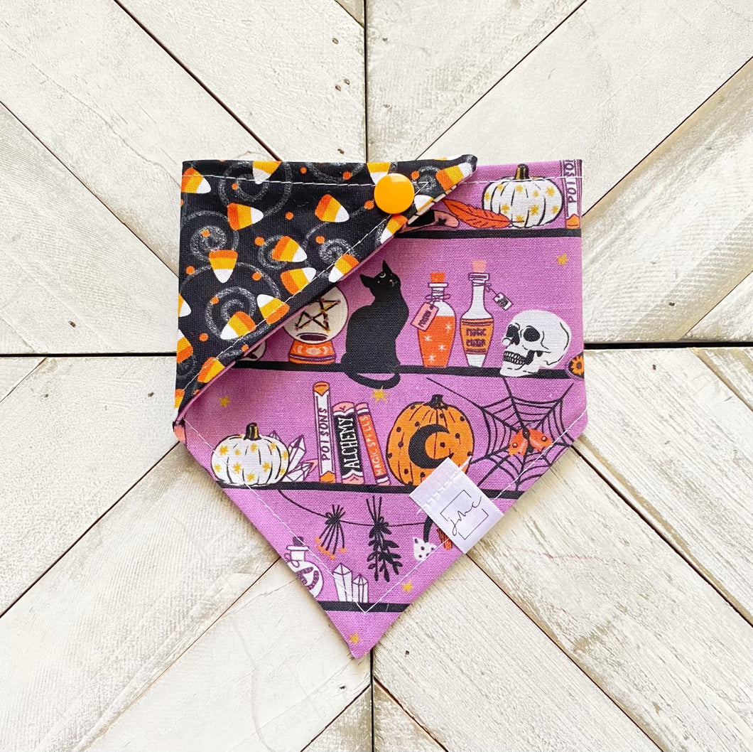 Spooktastic Pet Bandana