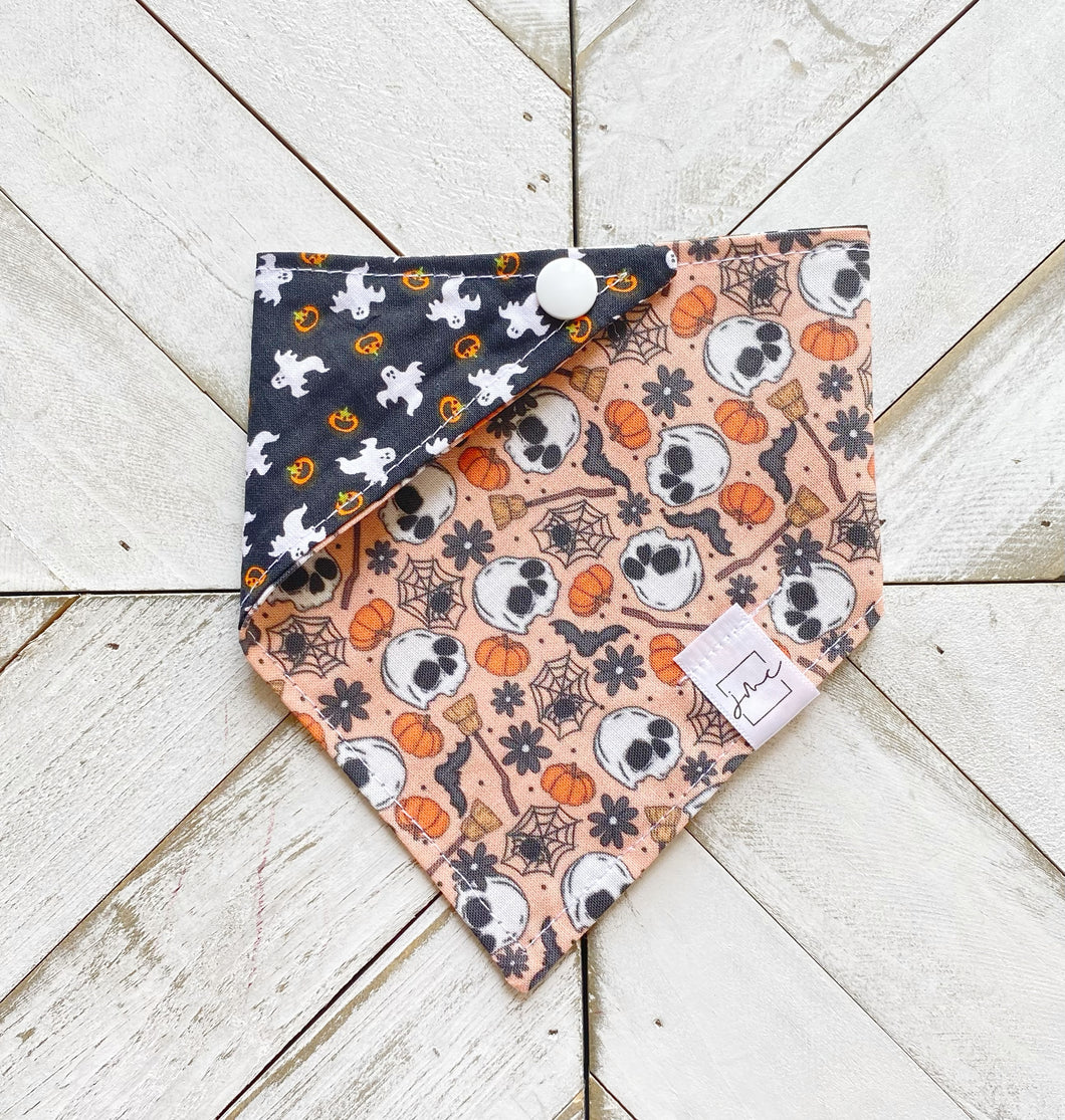Pumpkin Skulls Pet Bandana