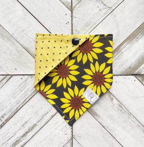 Sunflower Fanatic Pet Bandana