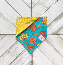 Load image into Gallery viewer, Leaves Of Fall Pet Bandana
