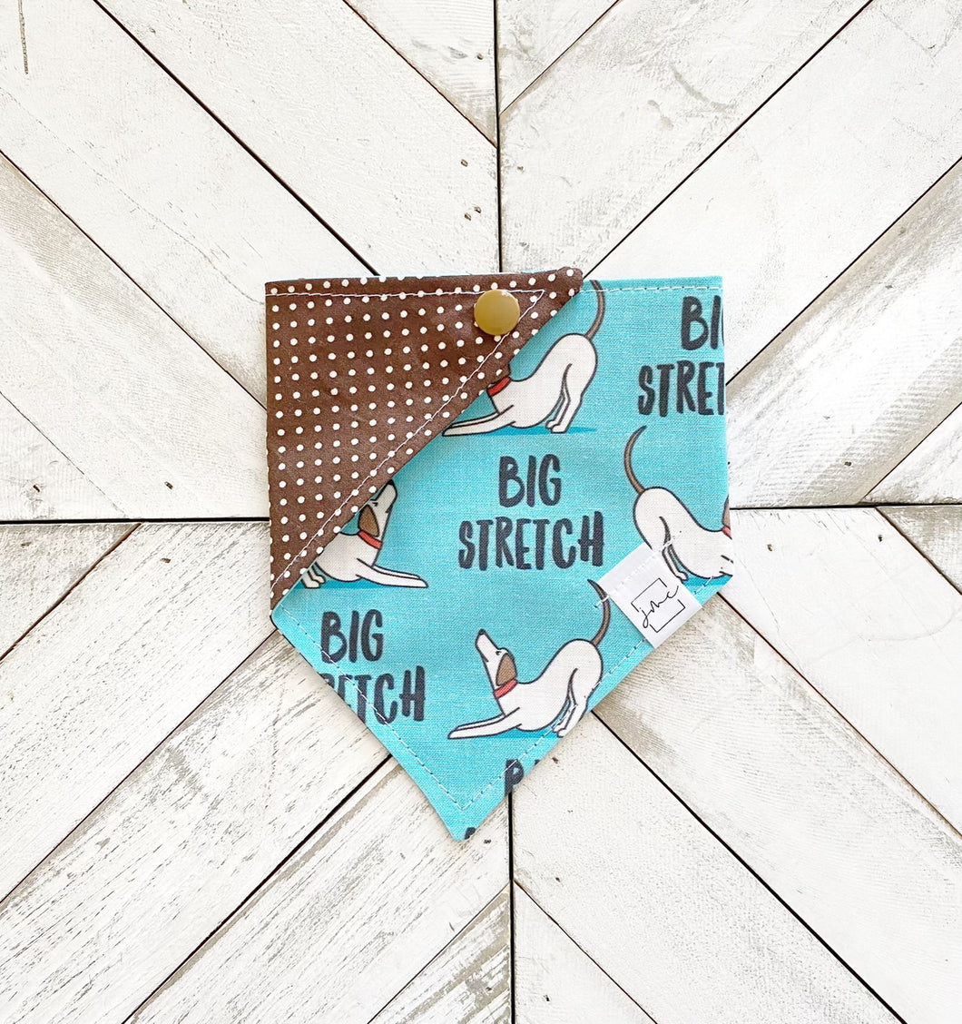 Big Stretch Pet Bandana