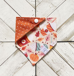 Fall Latte Pet Bandana