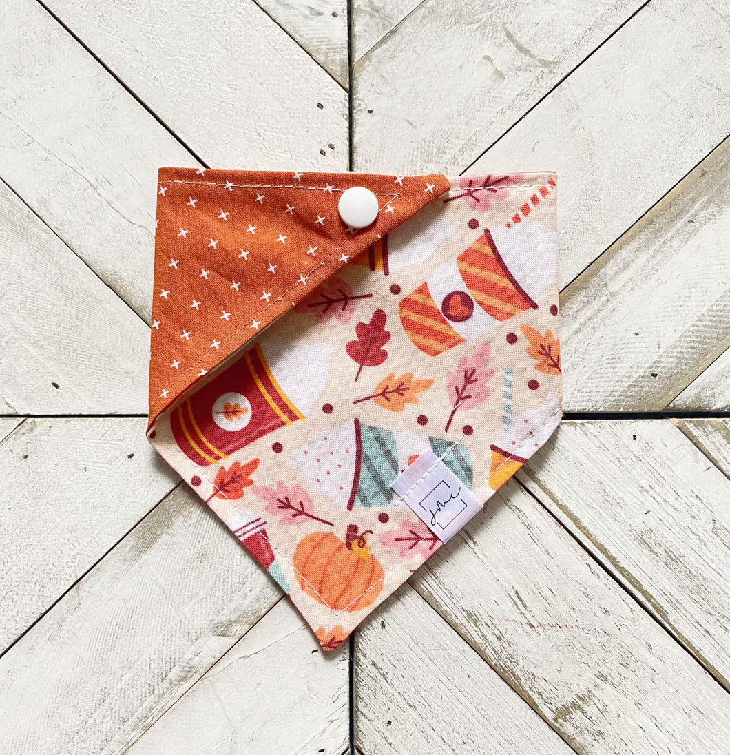 Fall Latte Pet Bandana