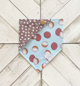 Coconut Craze Pet Bandana