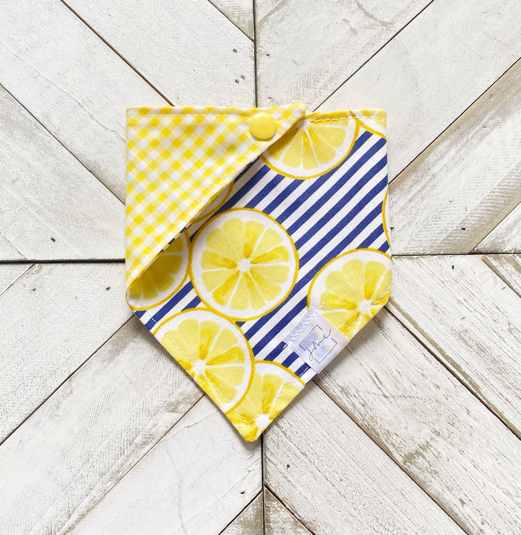 Lemonade Stand Pet Bandana