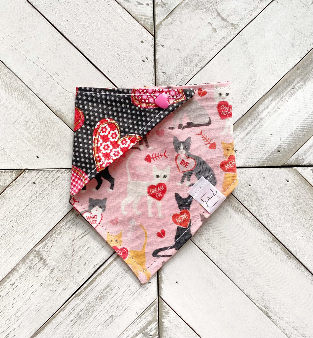 Hiss Off Pet Bandana