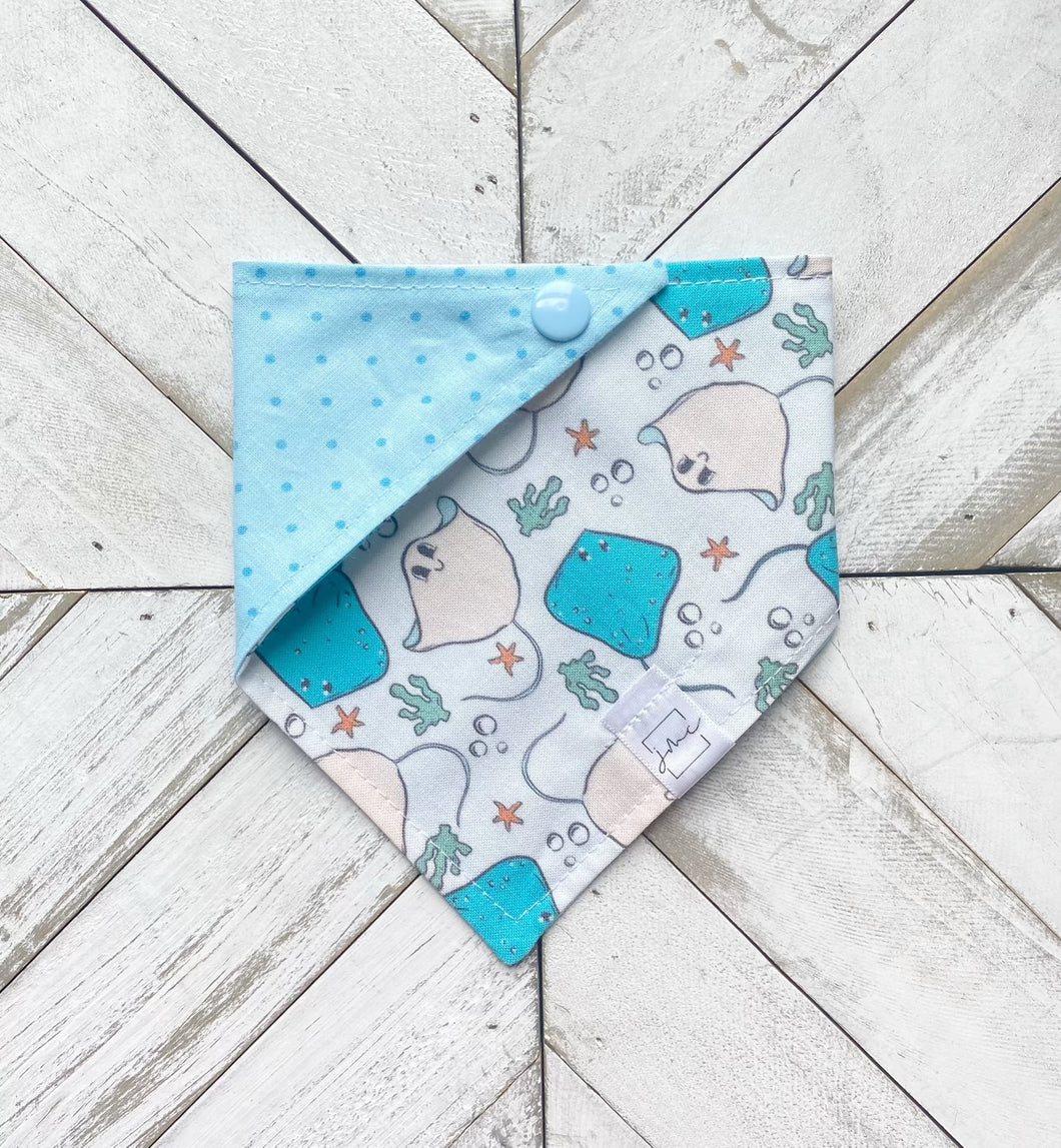 Silly Stingray Pet Bandana