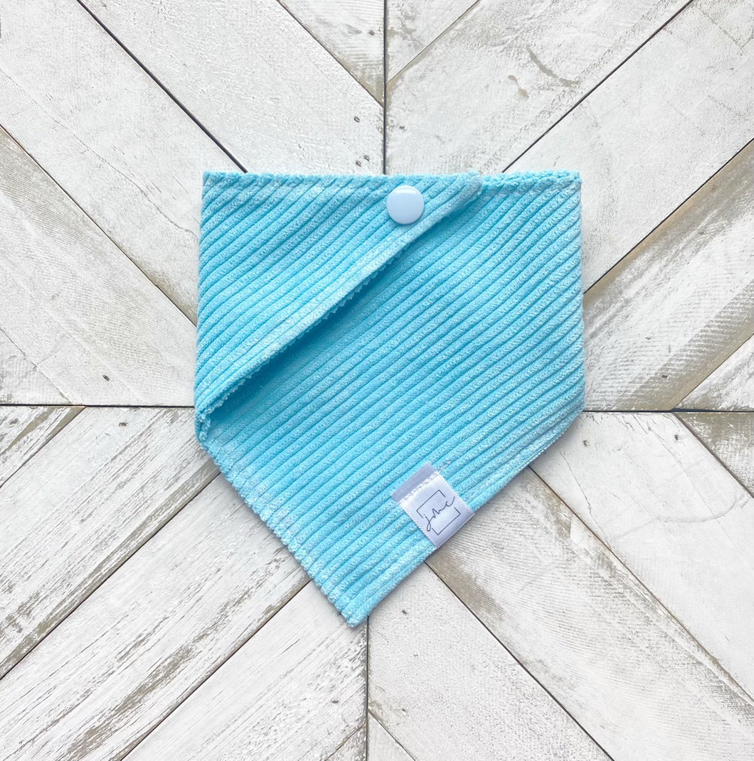 Summer Sky Corduroy Pet Bandana