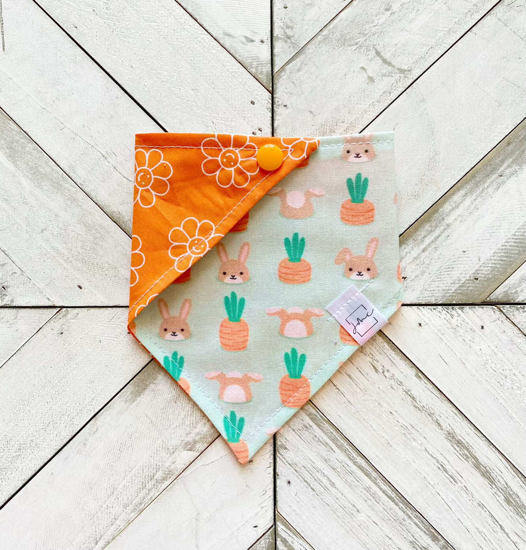 Peter Cottontail Pet Bandana