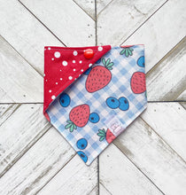 Load image into Gallery viewer, Summer Picnic Pet Bandana
