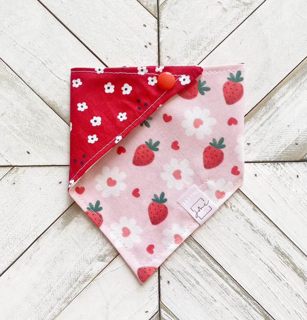 Strawberry Floral Pet Bandana