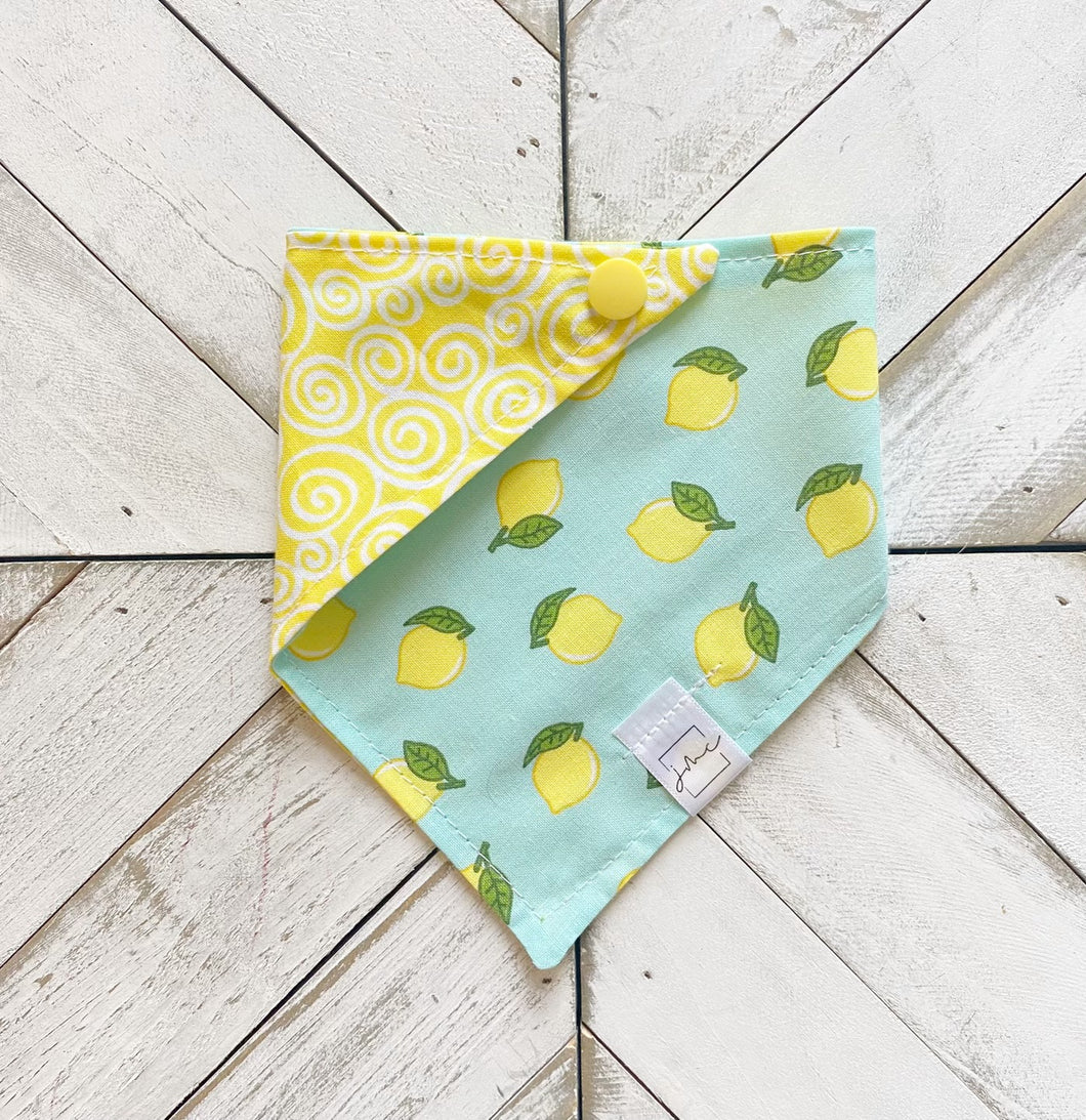 Lemon Drop Pet Bandana