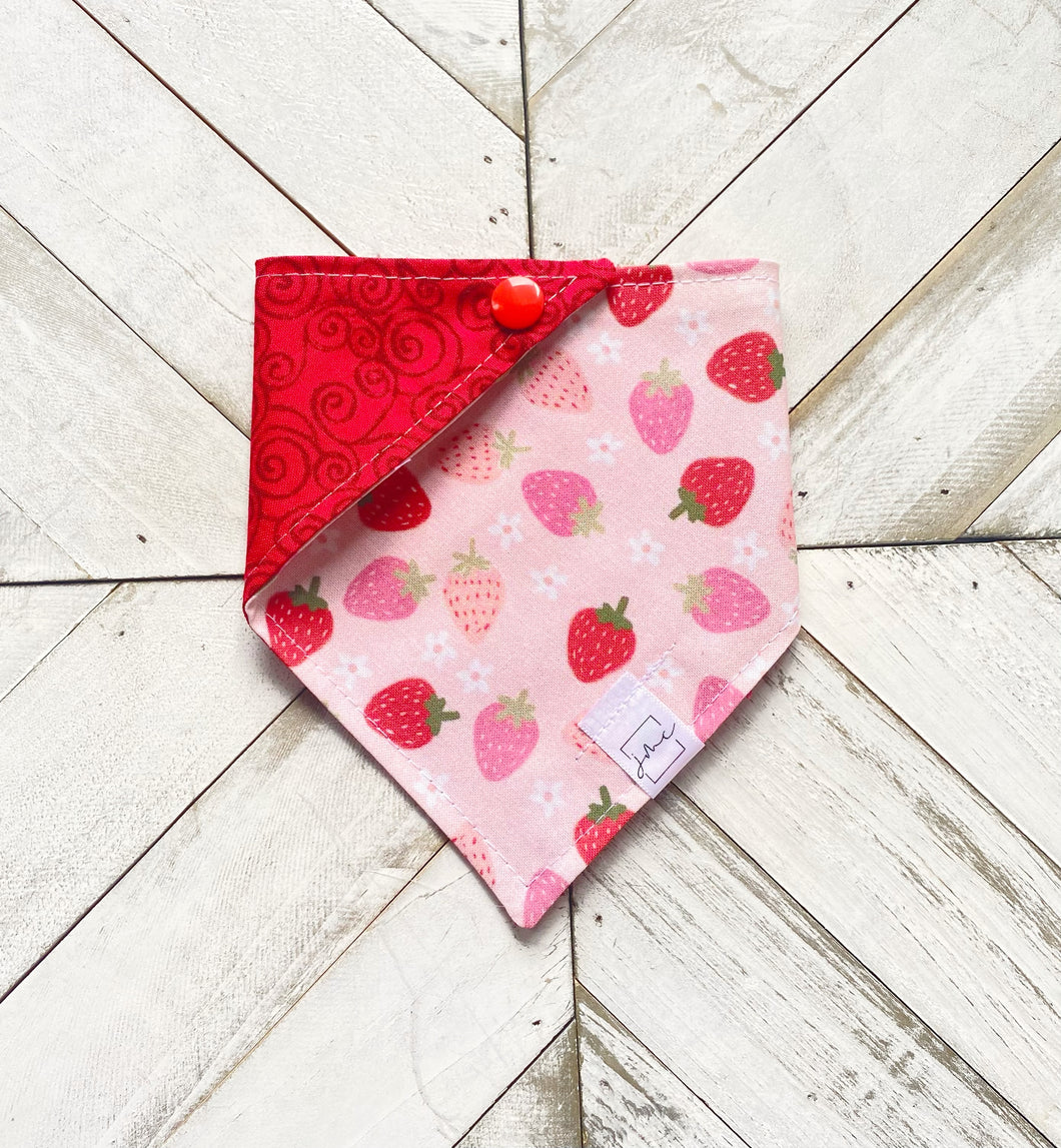 Berrylicious Pet Bandana