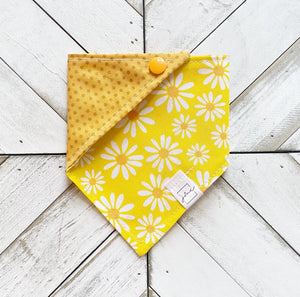 Daisy Daydream Pet Bandana
