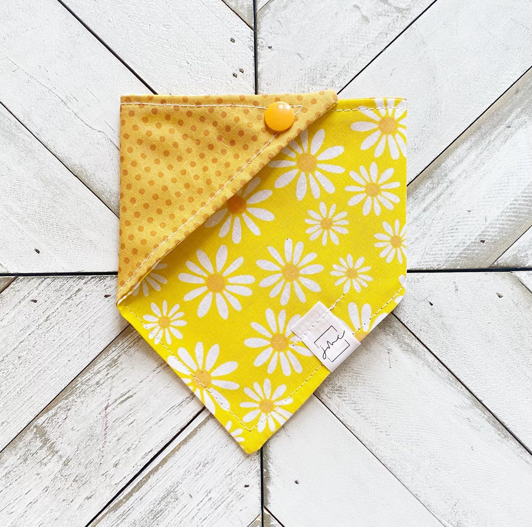 Daisy Daydream Pet Bandana