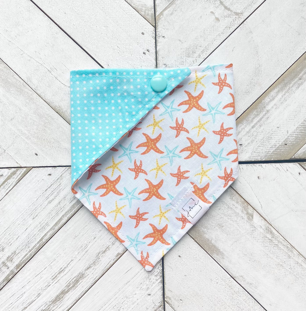 Starfish Seas Pet Bandana