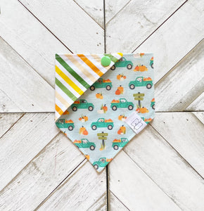 Autumn Drive Pet Bandana