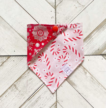 Load image into Gallery viewer, Peppermint Paradise Pet Bandana
