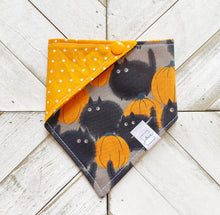 Load image into Gallery viewer, Spooked Kitty Pet Bandana
