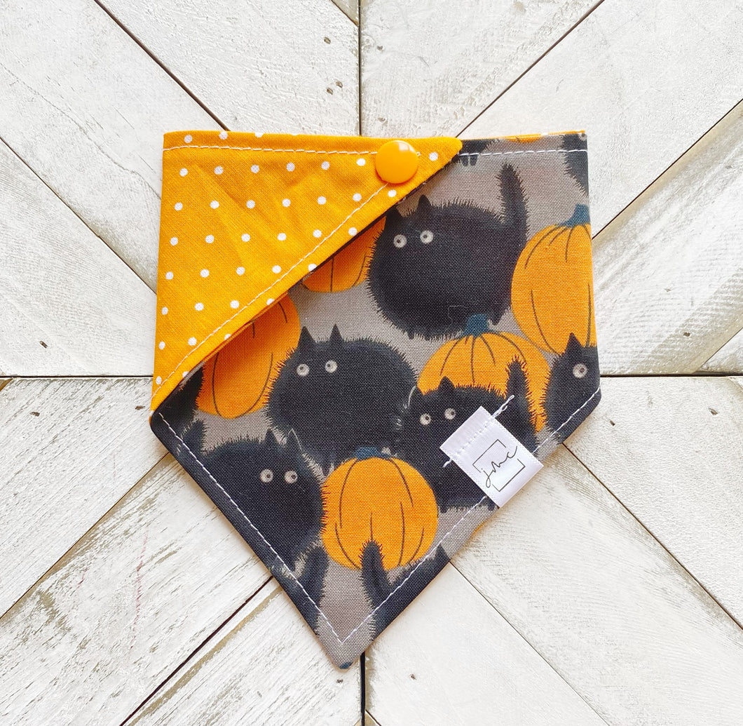 Spooked Kitty Pet Bandana
