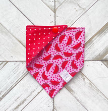 Load image into Gallery viewer, Wild Watermelon Pet Bandana
